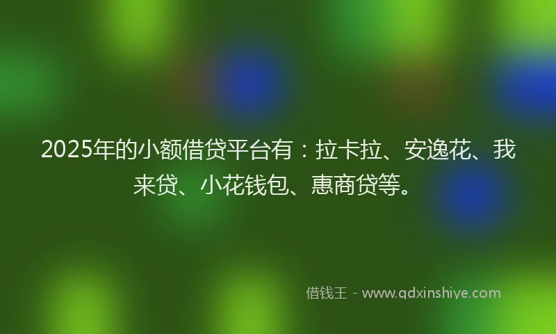 2025年的小额借贷平台有：拉卡拉、安逸花、我来贷、小花钱包、惠商贷等。