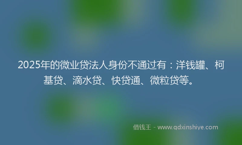 2025年的微业贷法人身份不通过有：洋钱罐、柯基贷、滴水贷、快贷通、微粒贷等。