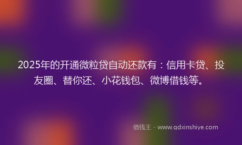 2025年的开通微粒贷自动还款有：信用卡贷、投友圈、替你还、小花钱包、微博借钱等。