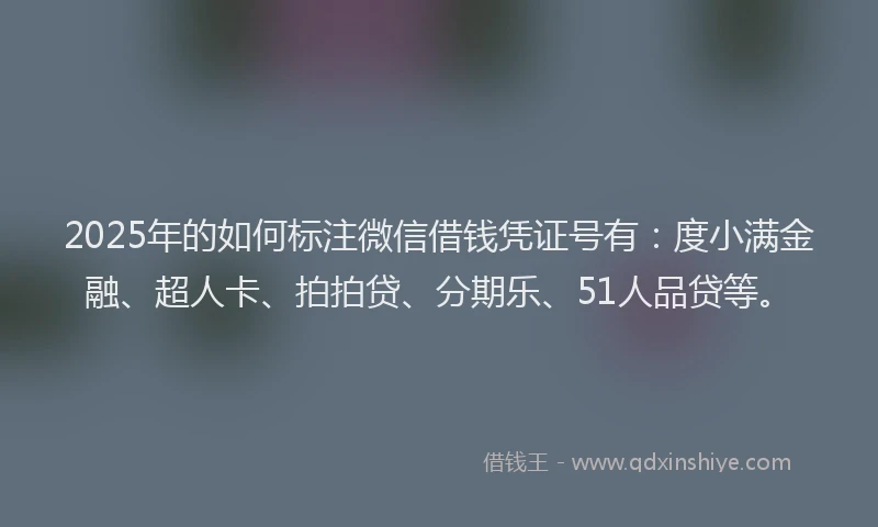 2025年的如何标注微信借钱凭证号有：度小满金融、超人卡、拍拍贷、分期乐、51人品贷等。