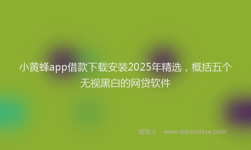 小黄蜂app借款下载安装2025年精选，概括五个无视黑白的网贷软件
