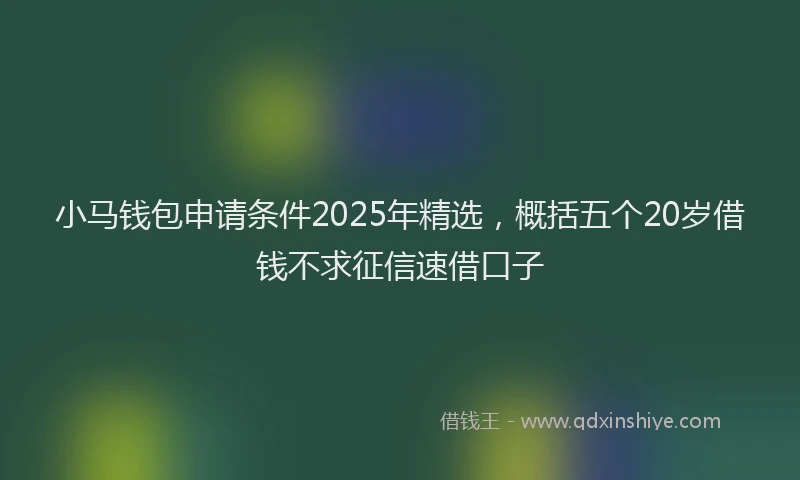 小马钱包申请条件2025年精选，概括五个20岁借钱不求征信速借口子