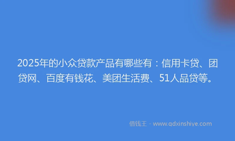 2025年的小众贷款产品有哪些有：信用卡贷、团贷网、百度有钱花、美团生活费、51人品贷等。