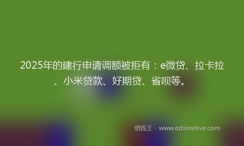 2025年的建行申请调额被拒有：e微贷、拉卡拉、小米贷款、好期贷、省呗等。