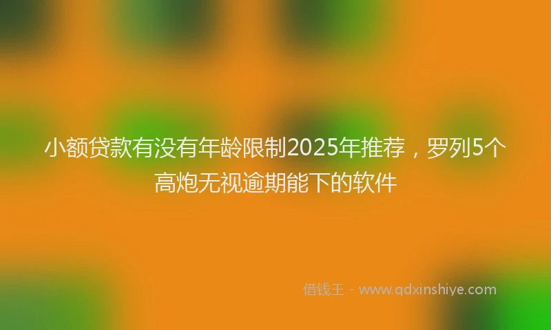 小额贷款有没有年龄限制2025年推荐，罗列5个高炮无视逾期能下的软件