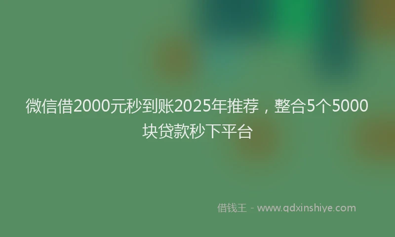 微信借2000元秒到账2025年推荐，整合5个5000块贷款秒下平台