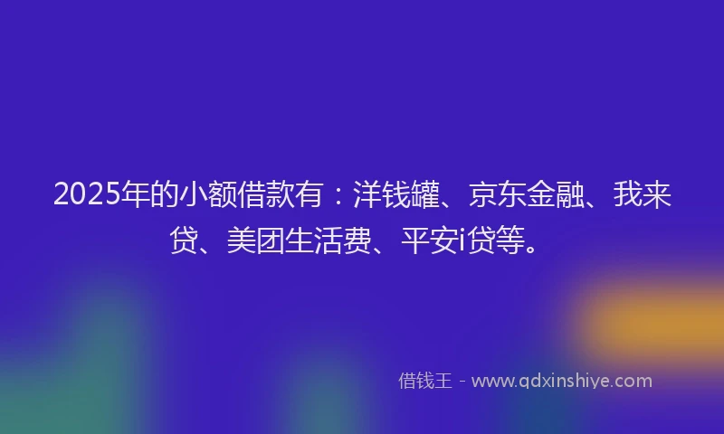 2025年的小额借款有：洋钱罐、京东金融、我来贷、美团生活费、平安i贷等。