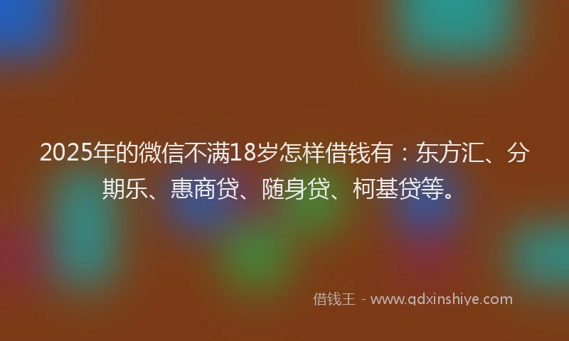 2025年的微信不满18岁怎样借钱有：东方汇、分期乐、惠商贷、随身贷、柯基贷等。