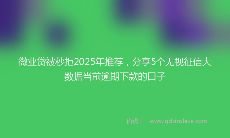 微业贷被秒拒2025年推荐，分享5个无视征信大数据当前逾期下款的口子