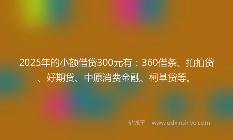 2025年的小额借贷300元有：360借条、拍拍贷、好期贷、中原消费金融、柯基贷等。