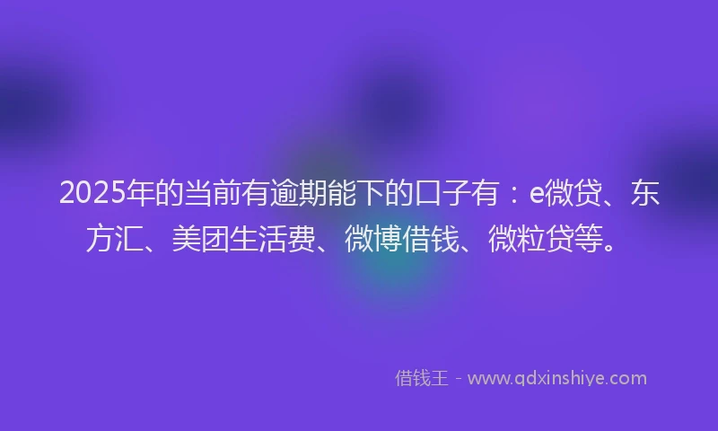 2025年的当前有逾期能下的口子有：e微贷、东方汇、美团生活费、微博借钱、微粒贷等。