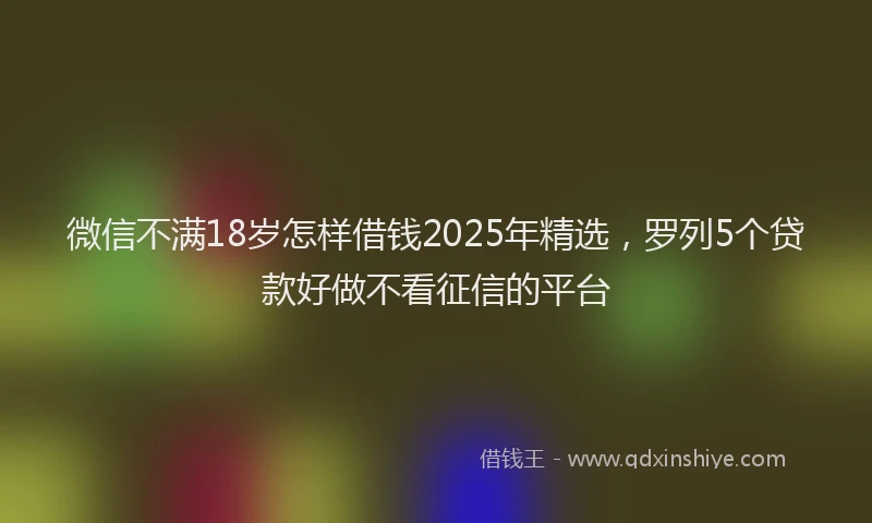 微信不满18岁怎样借钱2025年精选，罗列5个贷款好做不看征信的平台