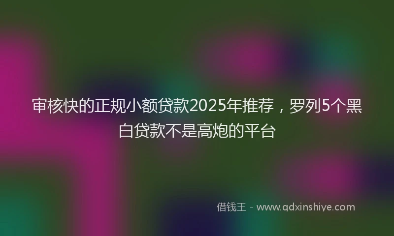 审核快的正规小额贷款2025年推荐，罗列5个黑白贷款不是高炮的平台