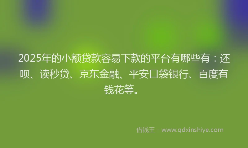 2025年的小额贷款容易下款的平台有哪些有：还呗、读秒贷、京东金融、平安口袋银行、百度有钱花等。