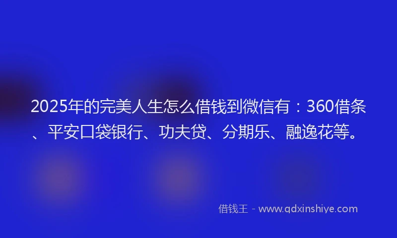 2025年的完美人生怎么借钱到微信有：360借条、平安口袋银行、功夫贷、分期乐、融逸花等。