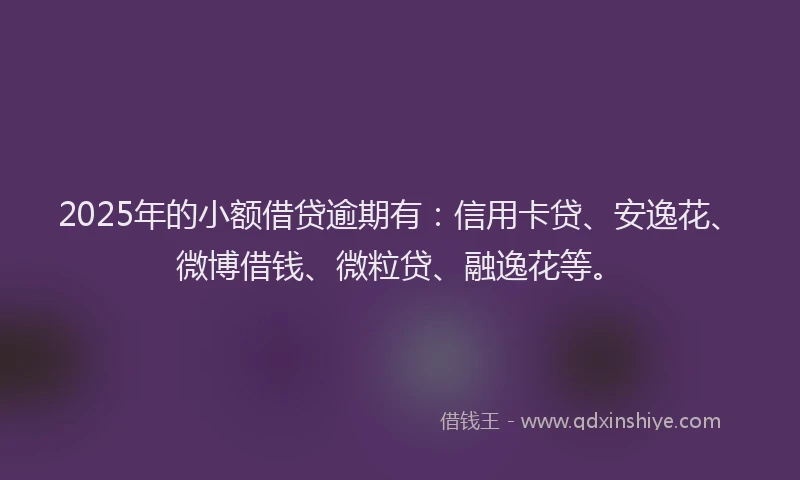 2025年的小额借贷逾期有：信用卡贷、安逸花、微博借钱、微粒贷、融逸花等。