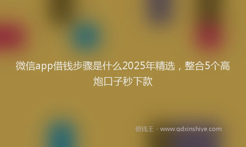 微信app借钱步骤是什么2025年精选，整合5个高炮口子秒下款