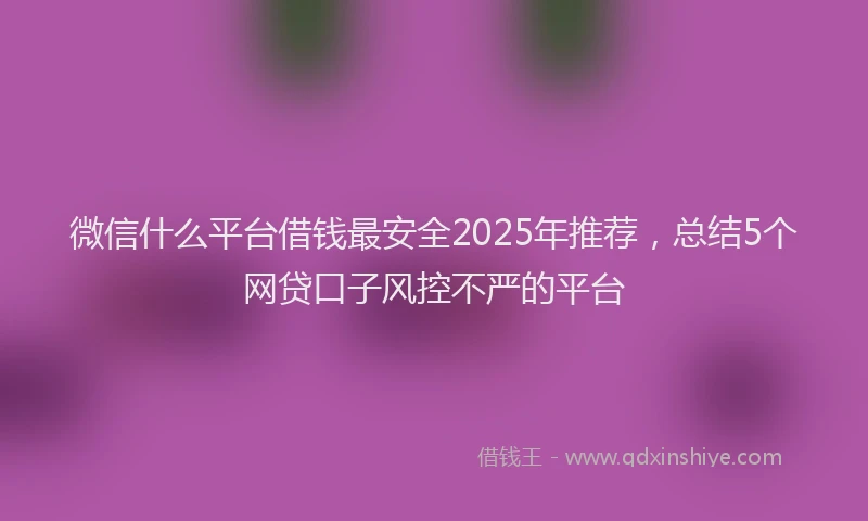 微信什么平台借钱最安全2025年推荐，总结5个网贷口子风控不严的平台