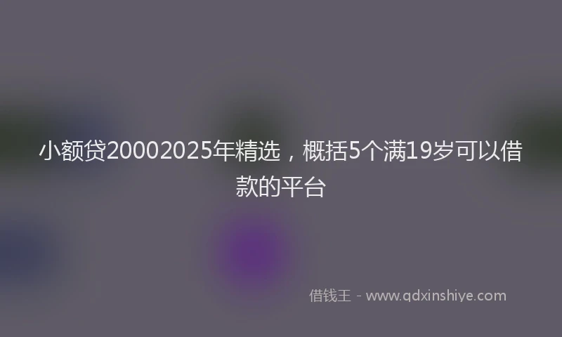 小额贷20002025年精选，概括5个满19岁可以借款的平台