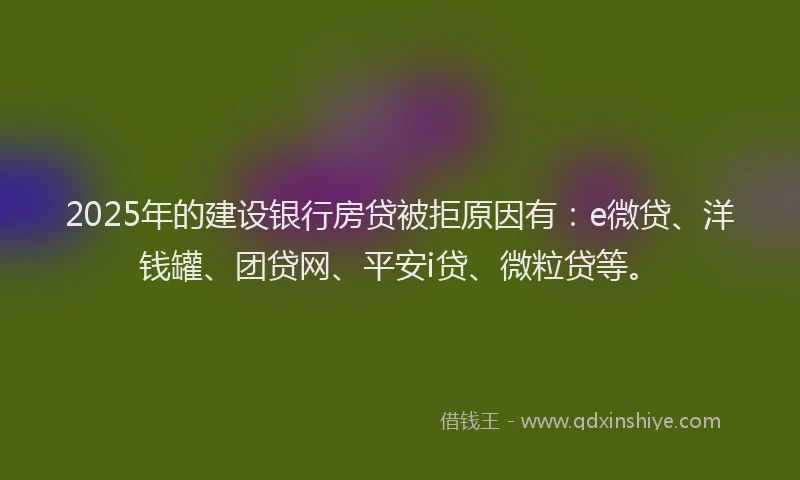 2025年的建设银行房贷被拒原因有：e微贷、洋钱罐、团贷网、平安i贷、微粒贷等。