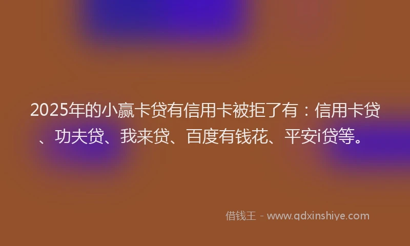 2025年的小赢卡贷有信用卡被拒了有：信用卡贷、功夫贷、我来贷、百度有钱花、平安i贷等。