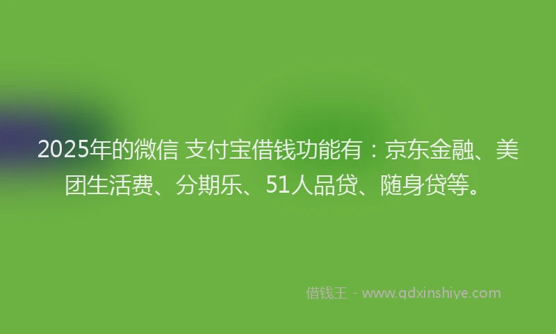 2025年的微信 支付宝借钱功能有：京东金融、美团生活费、分期乐、51人品贷、随身贷等。