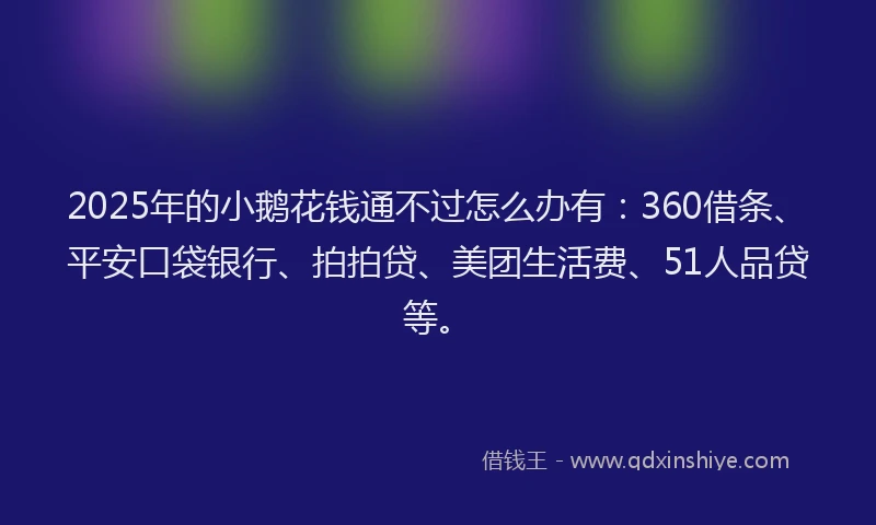 2025年的小鹅花钱通不过怎么办有：360借条、平安口袋银行、拍拍贷、美团生活费、51人品贷等。