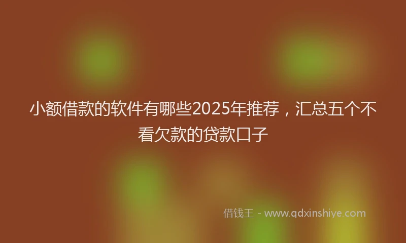 小额借款的软件有哪些2025年推荐，汇总五个不看欠款的贷款口子