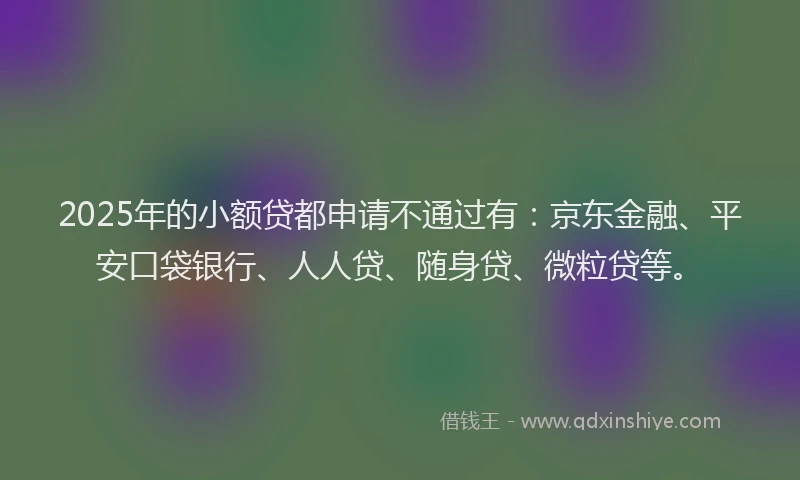 2025年的小额贷都申请不通过有：京东金融、平安口袋银行、人人贷、随身贷、微粒贷等。