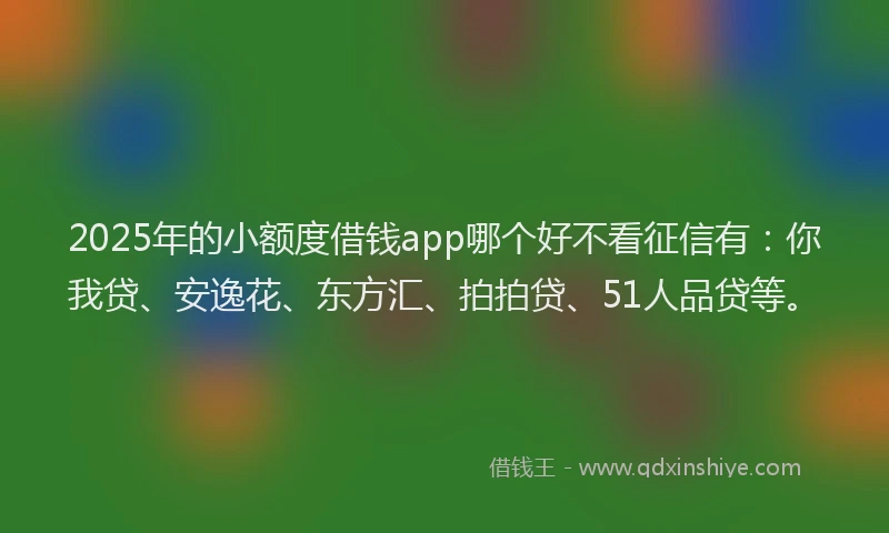 2025年的小额度借钱app哪个好不看征信有：你我贷、安逸花、东方汇、拍拍贷、51人品贷等。