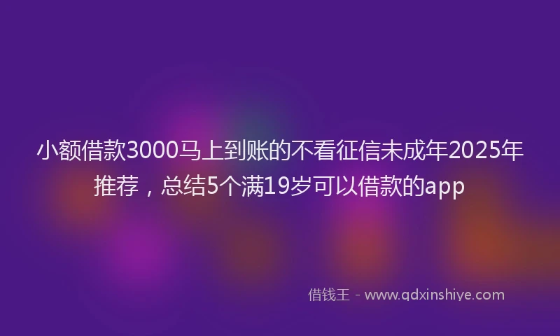 小额借款3000马上到账的不看征信未成年2025年推荐，总结5个满19岁可以借款的app