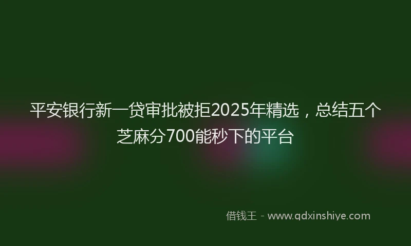 平安银行新一贷审批被拒2025年精选，总结五个芝麻分700能秒下的平台