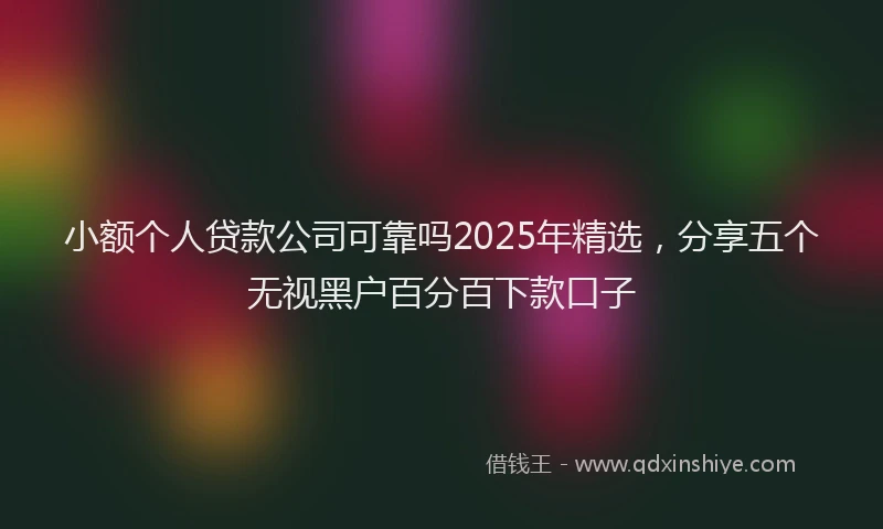 小额个人贷款公司可靠吗2025年精选，分享五个无视黑户百分百下款口子