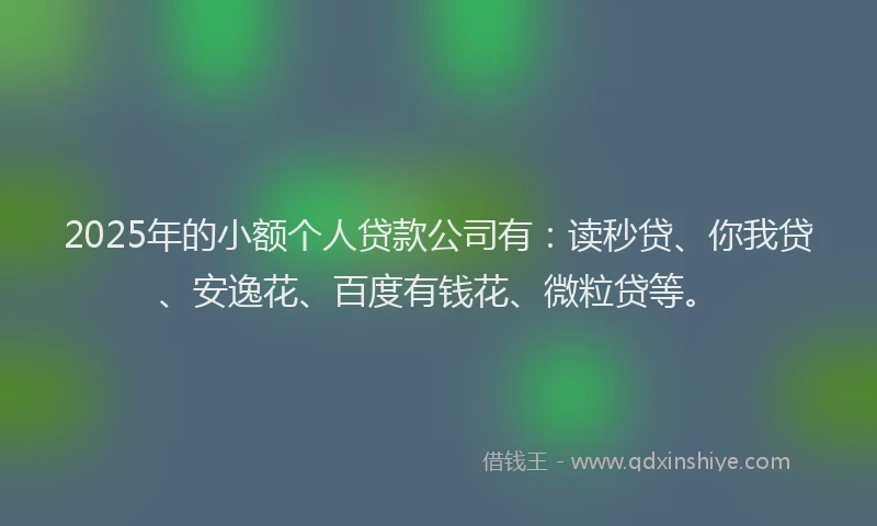 2025年的小额个人贷款公司有：读秒贷、你我贷、安逸花、百度有钱花、微粒贷等。