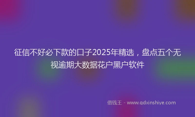 征信不好必下款的口子2025年精选，盘点五个无视逾期大数据花户黑户软件