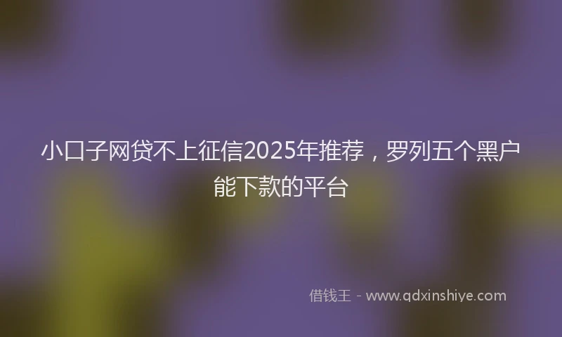 小口子网贷不上征信2025年推荐，罗列五个黑户能下款的平台