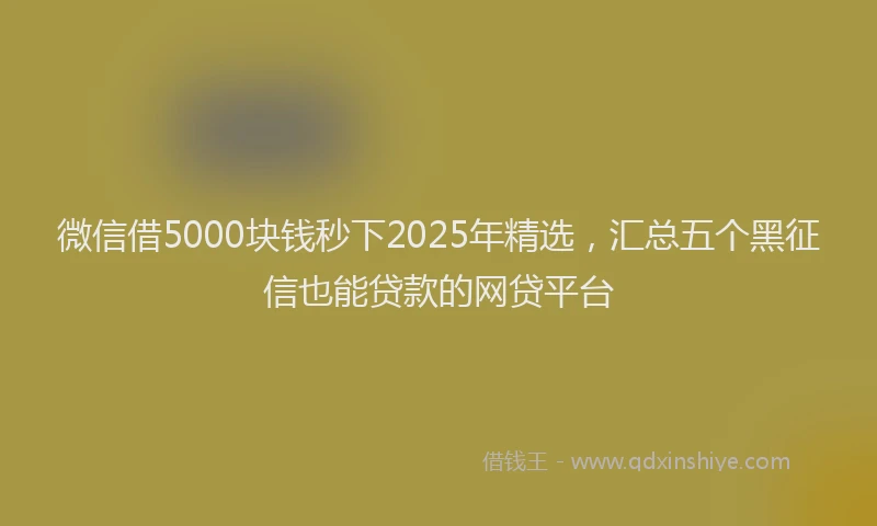 微信借5000块钱秒下2025年精选，汇总五个黑征信也能贷款的网贷平台