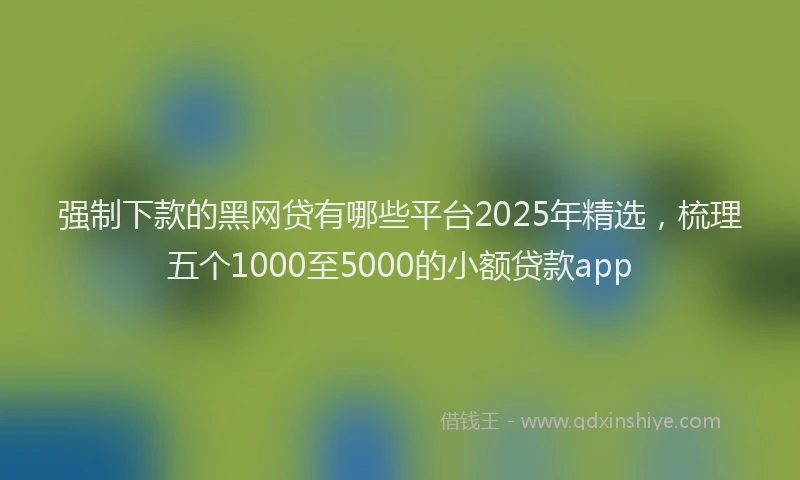 强制下款的黑网贷有哪些平台2025年精选，梳理五个1000至5000的小额贷款app