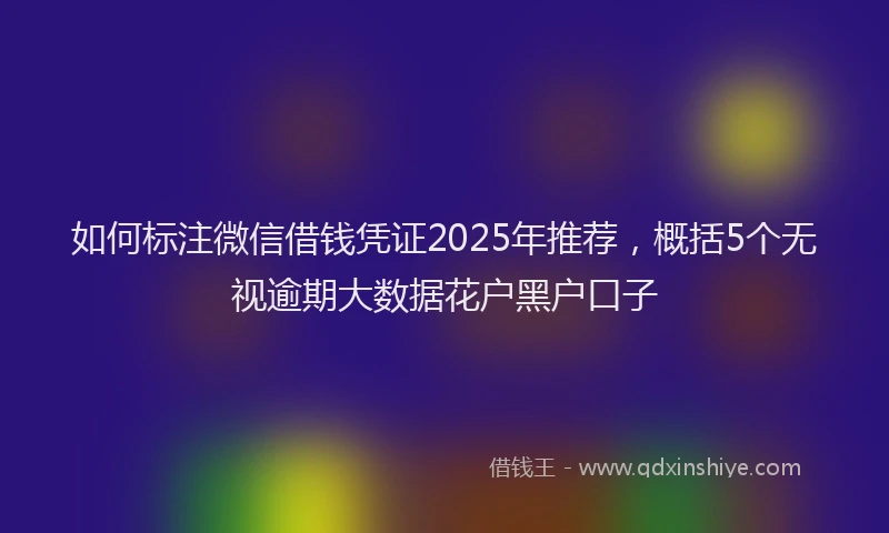 如何标注微信借钱凭证2025年推荐，概括5个无视逾期大数据花户黑户口子