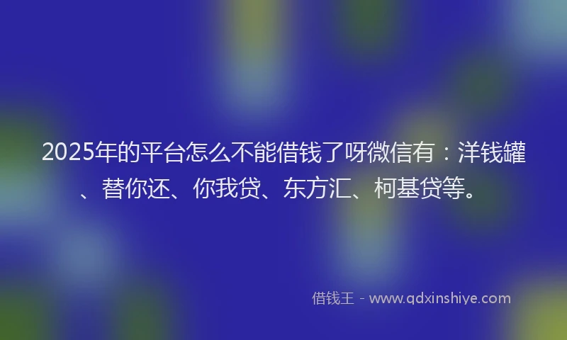 2025年的平台怎么不能借钱了呀微信有：洋钱罐、替你还、你我贷、东方汇、柯基贷等。