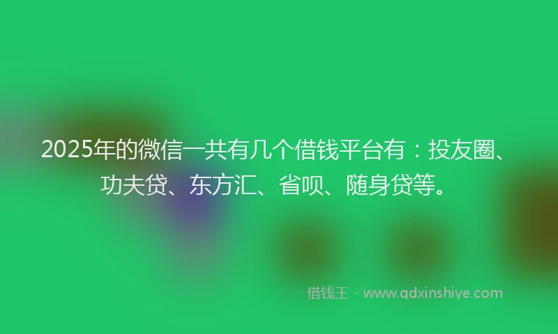 2025年的微信一共有几个借钱平台有：投友圈、功夫贷、东方汇、省呗、随身贷等。