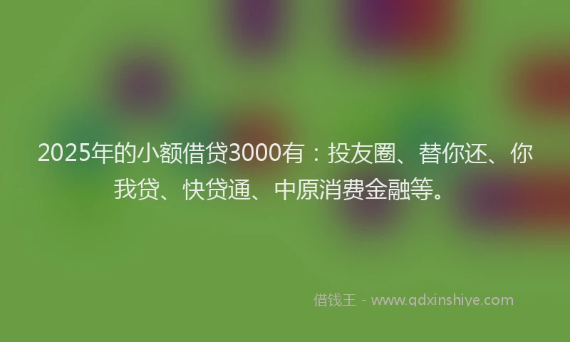 2025年的小额借贷3000有：投友圈、替你还、你我贷、快贷通、中原消费金融等。