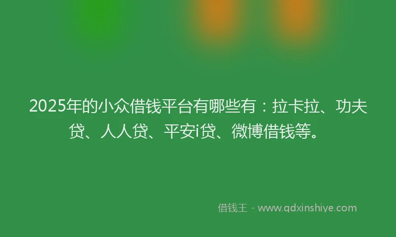 2025年的小众借钱平台有哪些有：拉卡拉、功夫贷、人人贷、平安i贷、微博借钱等。