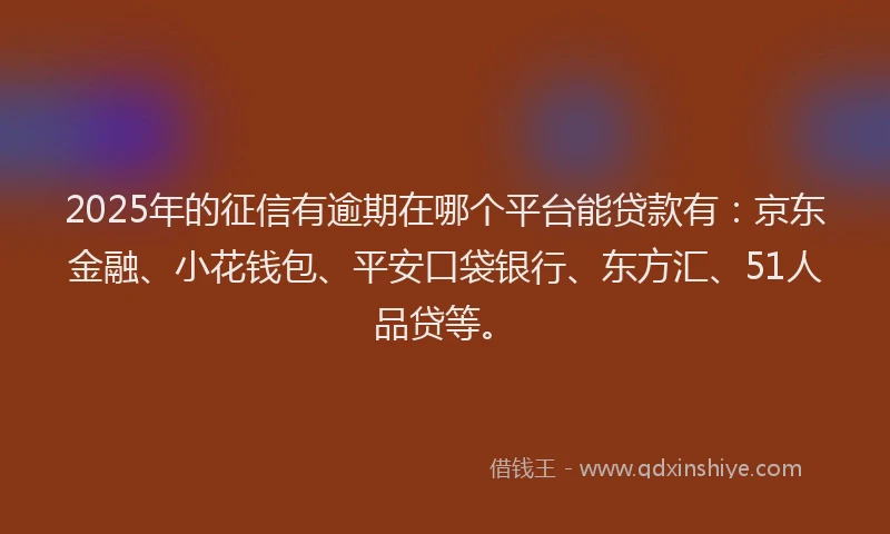 2025年的征信有逾期在哪个平台能贷款有：京东金融、小花钱包、平安口袋银行、东方汇、51人品贷等。