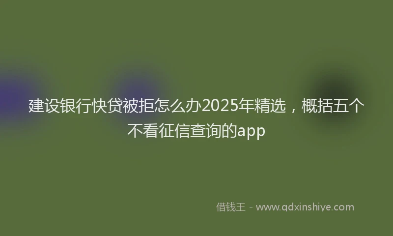 建设银行快贷被拒怎么办2025年精选，概括五个不看征信查询的app
