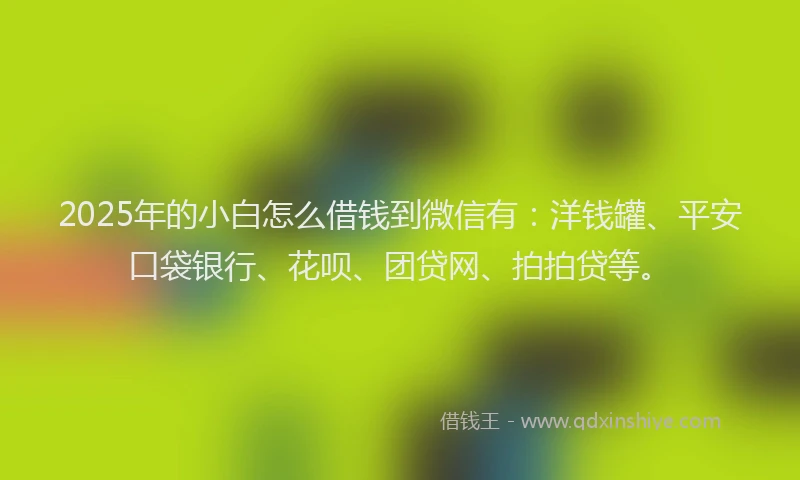 2025年的小白怎么借钱到微信有：洋钱罐、平安口袋银行、花呗、团贷网、拍拍贷等。