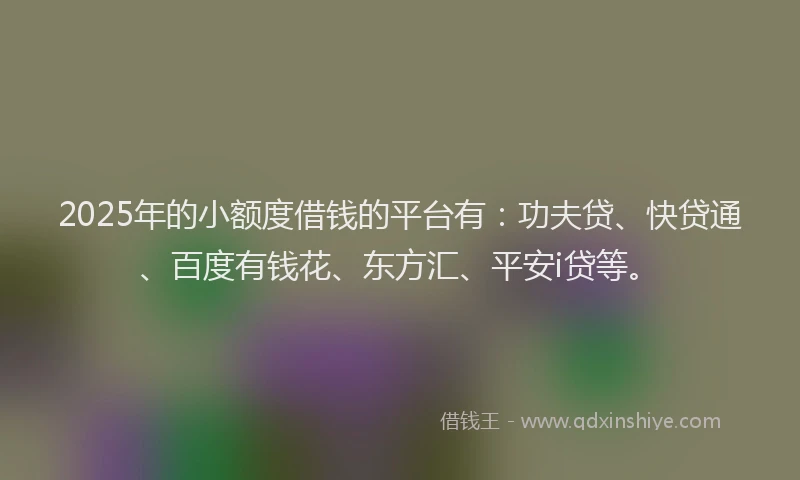 2025年的小额度借钱的平台有：功夫贷、快贷通、百度有钱花、东方汇、平安i贷等。