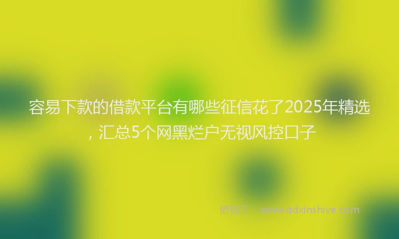 容易下款的借款平台有哪些征信花了2025年精选，汇总5个网黑烂户无视风控口子