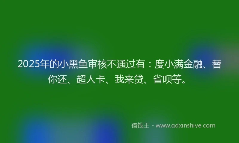 2025年的小黑鱼审核不通过有：度小满金融、替你还、超人卡、我来贷、省呗等。