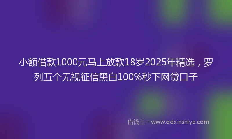 小额借款1000元马上放款18岁2025年精选，罗列五个无视征信黑白100%秒下网贷口子
